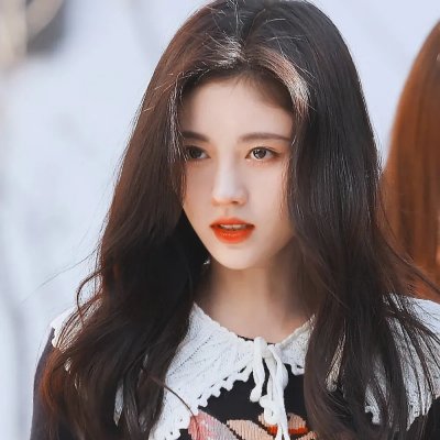 终结杉计划